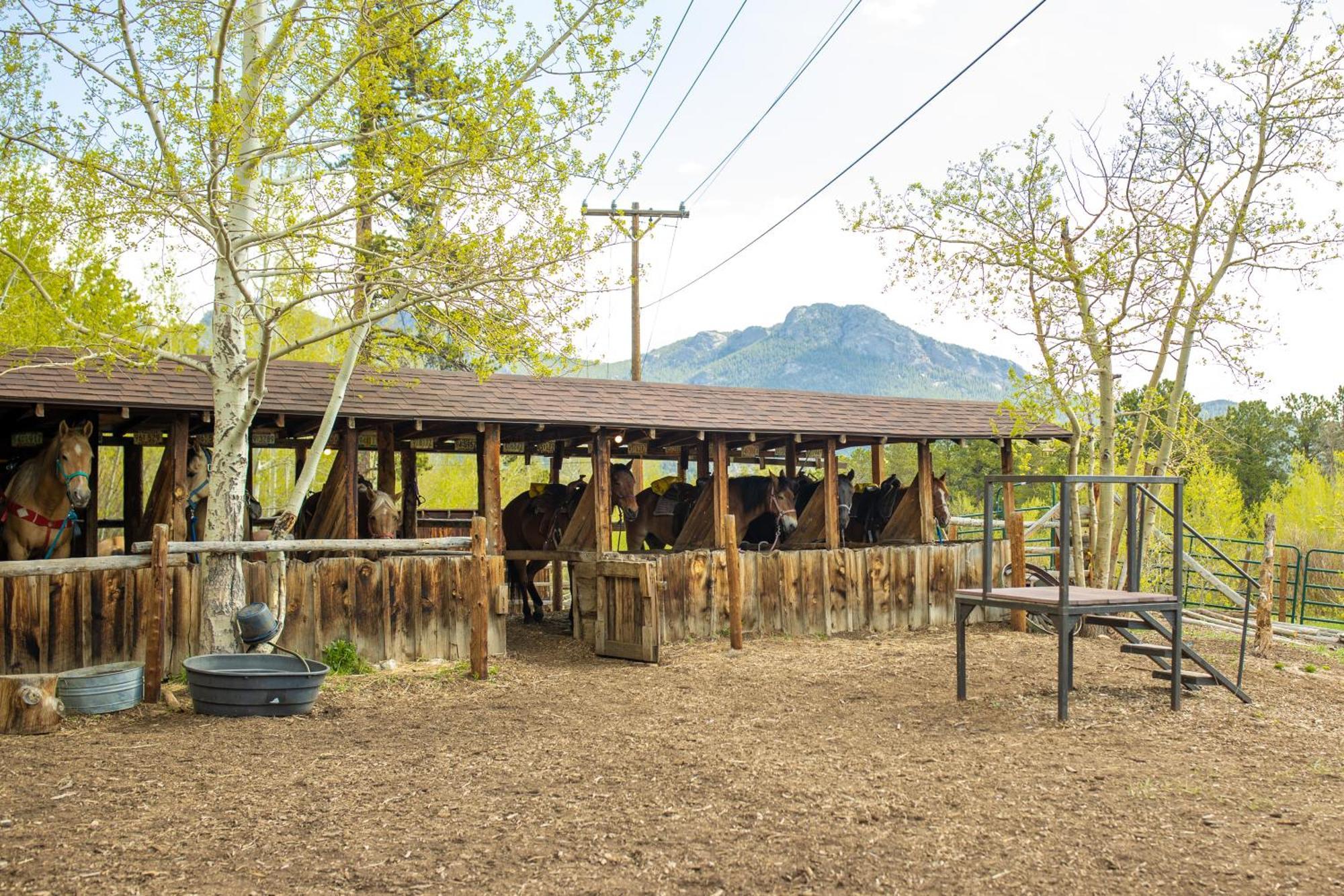 The Meeker Park Lodge Allenspark Εξωτερικό φωτογραφία