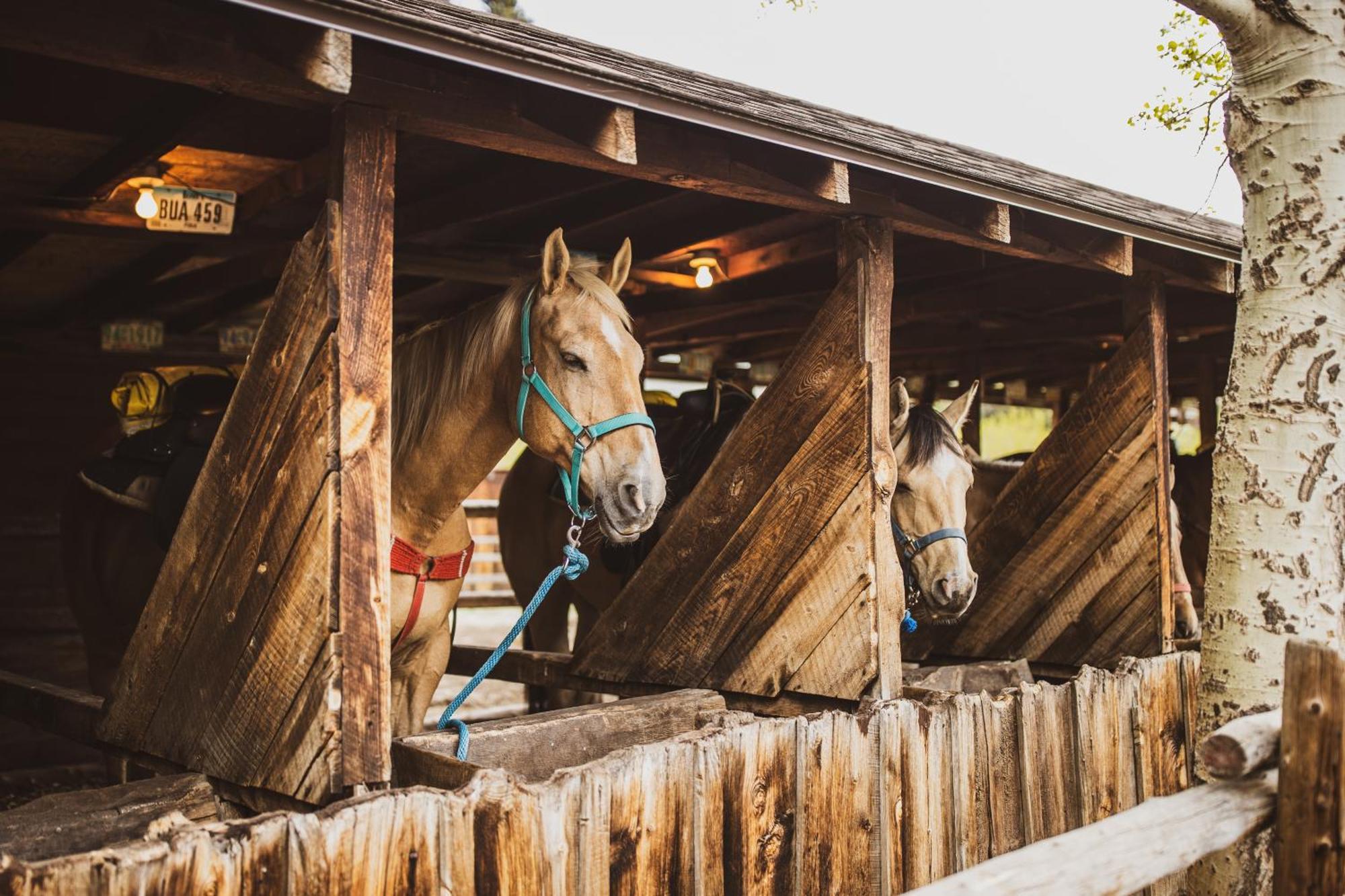 The Meeker Park Lodge Allenspark Εξωτερικό φωτογραφία