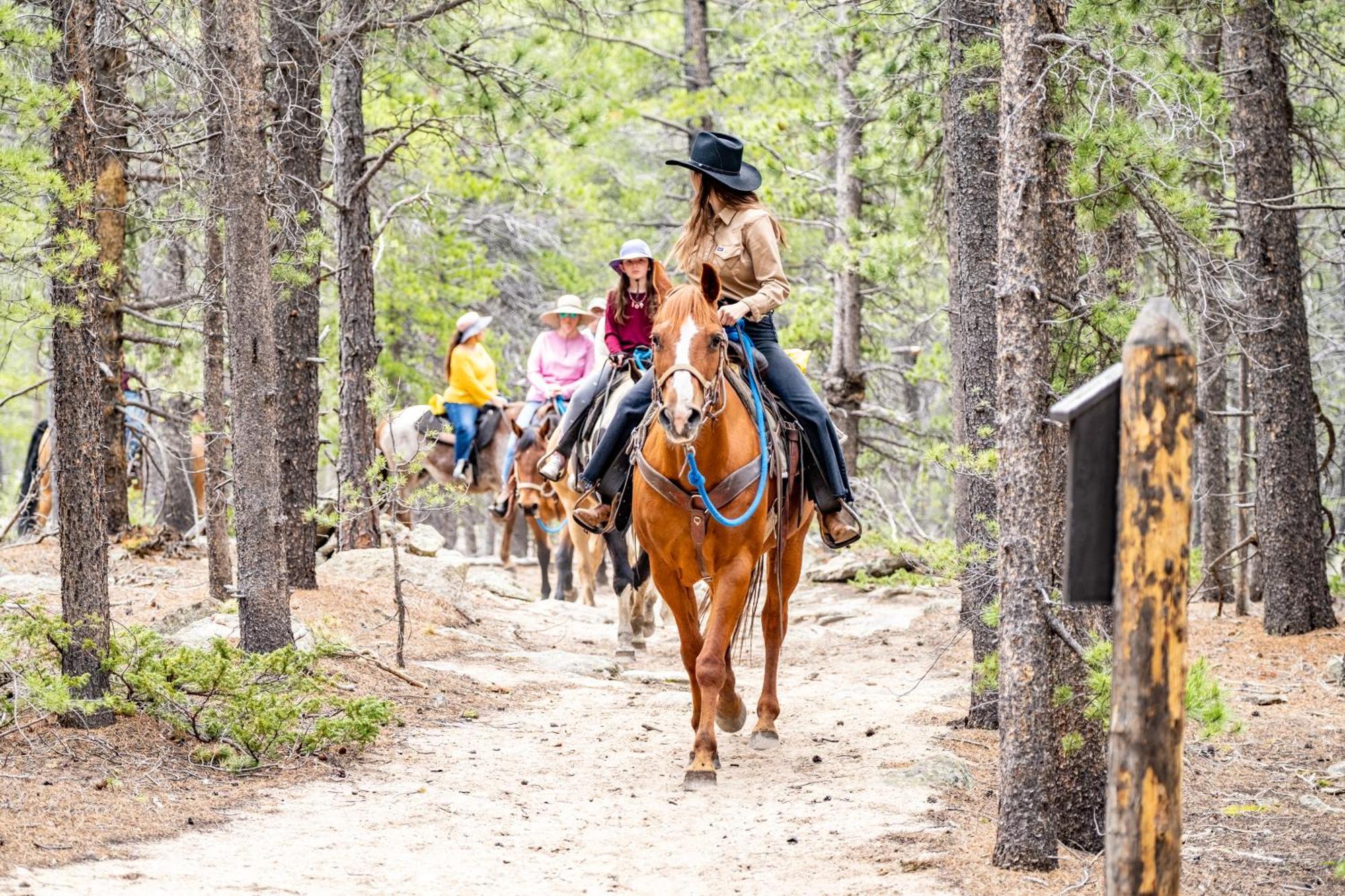The Meeker Park Lodge Allenspark Εξωτερικό φωτογραφία